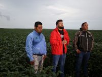 Gobernador Ernesto Luna asume meta de elevar producción de soya en Monagas de 25 mil a 100 mil hectáreas.