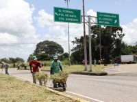 En agosto la Alcaldía desmalezó 22 avenidas de Maturín