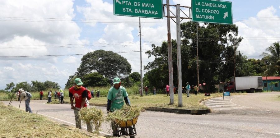 En agosto la Alcaldía desmalezó 22 avenidas de Maturín