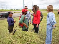 Alcaldía de Maturín potencia con 641 lámparas el flujo luminoso en la Bella Vista.