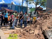 Entes gubernamentales asistieron a lesionados por caída de un árbol en la plaza 7 de Maturín.