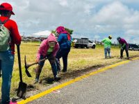 Alcaldía de Maturín realiza mantenimiento preventivo de 18 avenidas principales.