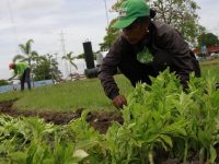 Inician labores de ornato en la redoma de El Parador en Maturín.