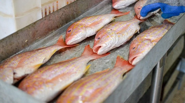 Ernesto Luna reactiva séptima empresa de la Gobernación de Monagas.