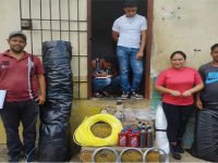 Salud Ambiental ataca fase de vuelo de la Hylesia Metabus en Caripito.