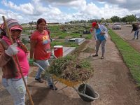 Alcaldía de Maturín saneó y remozó 30 hectáreas del Cementerio Nuevo.