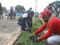 Siembran más de 100 plantas ornamentales en la plaza Miranda de Caicara.