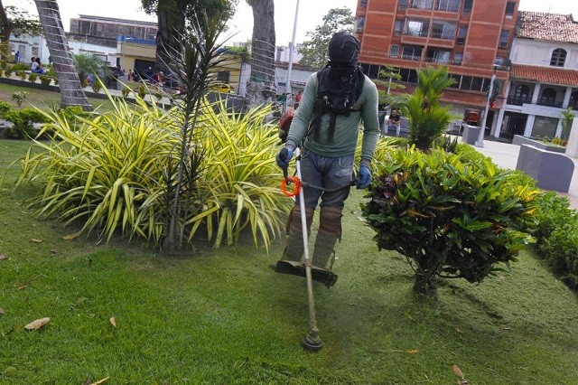 Alcaldía profundiza el embellecimiento de la ciudad de Maturín.