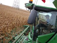 Alianzas Gobernación-Ouro Branco garantizan avances en el desarrollo productivo de Monagas.