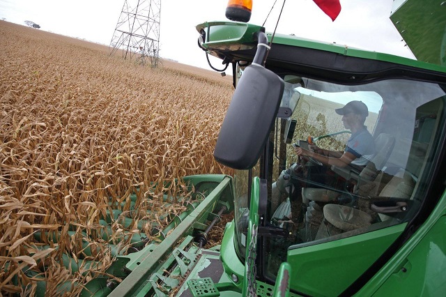 Alianzas Gobernación-Ouro Branco garantizan avances en el desarrollo productivo de Monagas.