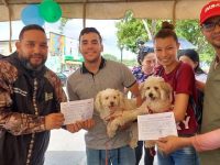Misión Nevado atendió a más de 180 cachorros en el municipio Cedeño.