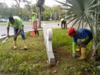 Alcaldesa Ana Fuentes embellece cuatro espacios públicos emblemáticos de Maturín.