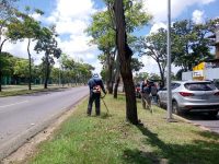 Intensifican plan de desmalezamiento en parroquias de Maturín.