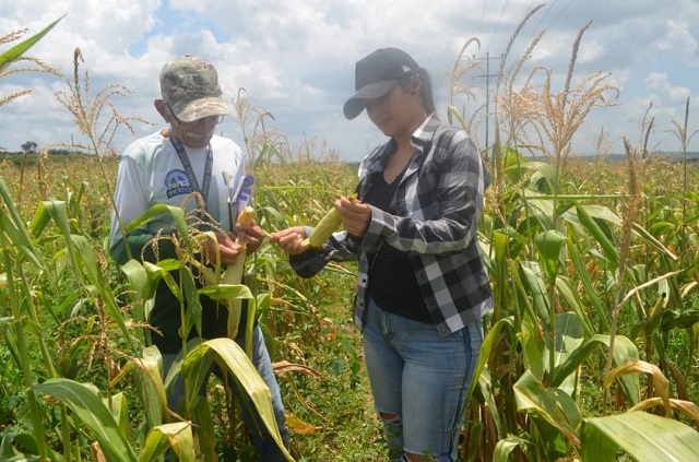 Realizan vista técnica a productores del municipio Cedeño financiados por Plan Conuco.