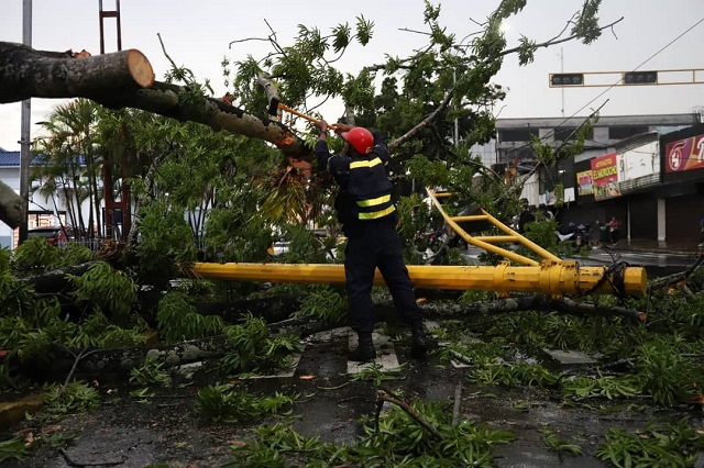 Alcaldesa Ana Fuentes atiende al momento daños ocasionados por árbol caído en la Plaza 7.