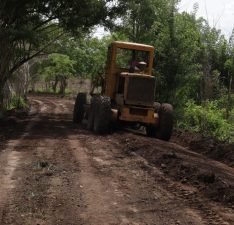 Intervienen 50 kilómetros de vialidad agrícola en Piar para favorecer a 750 productores