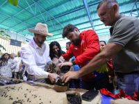 Plan Café Comunal 2024 financió con 715 mil dólares a 1.430 caficultores