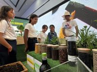 Gratificante y pedagógica es la Expo Feria Niños y Niñas Productores 2025