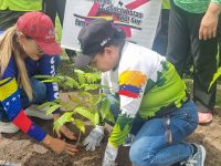 Inatur Monagas y Corpoturismo se suman al proyecto Flor de Oro en el Día del Araguaney