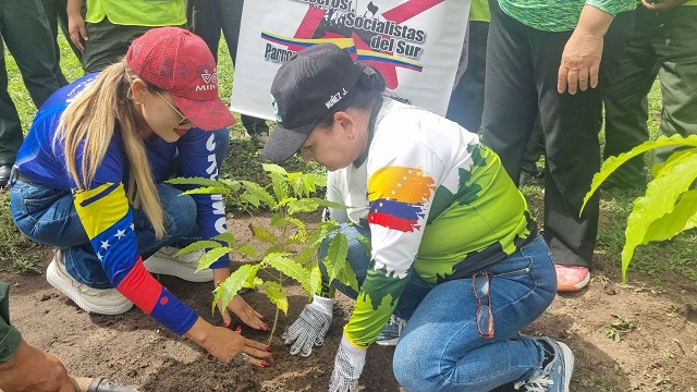 Inatur Monagas y Corpoturismo se suman al proyecto Flor de Oro en el Día del Araguaney